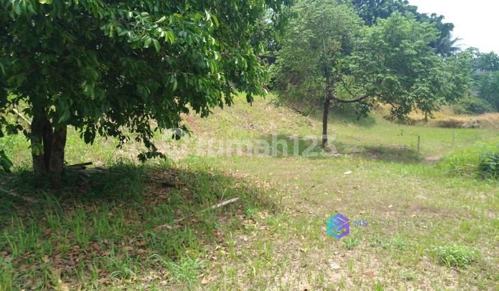 CHEAP LAND NJOP NEGOTIABLE NEAR PLAZA KALIBATA PANCORAN CHEAP LAND NJOP NEGOTIABLE NEAR PLAZA KALIBATA PANCORAN