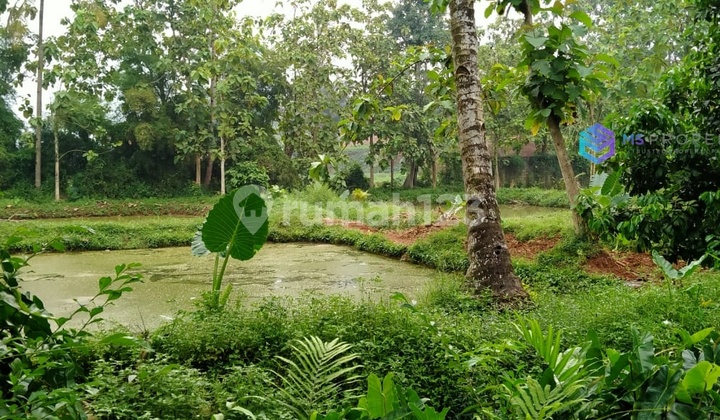 CHEAP LAND IN PARUNG BOGOR RAYA NEAR MCD PARUNG