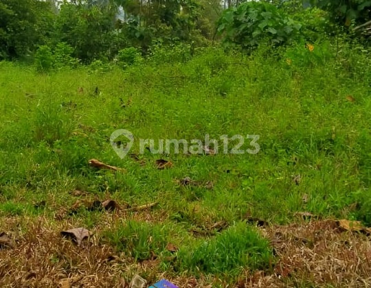 CHEAP LAND IN PARUNG BOGOR RAYA NEAR MCD PARUNG