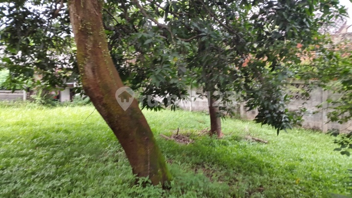 LAND IN PARUNG BOGOR RAYA SUITABLE FOR PADEL / SHOWROOM / RESTAURANT