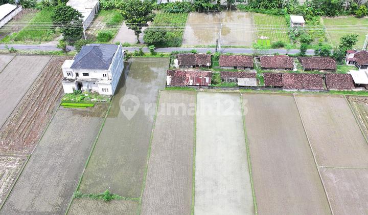 Tanah Blambangan Raya Sleman Yogya Tanah Blambangan Raya Sleman Yogya