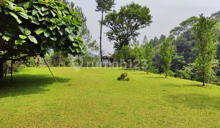 Tanah Caringin Bogor Vila Cikreteg Tanah Caringin Bogor Vila Cikreteg