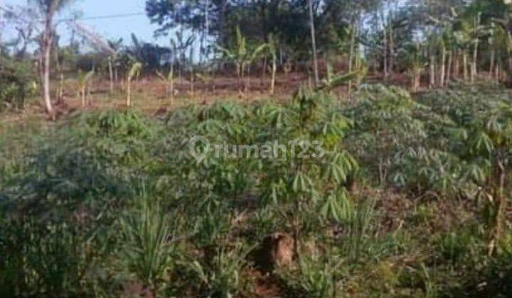 Jual Tanah Strategis Kota Cianjur 2