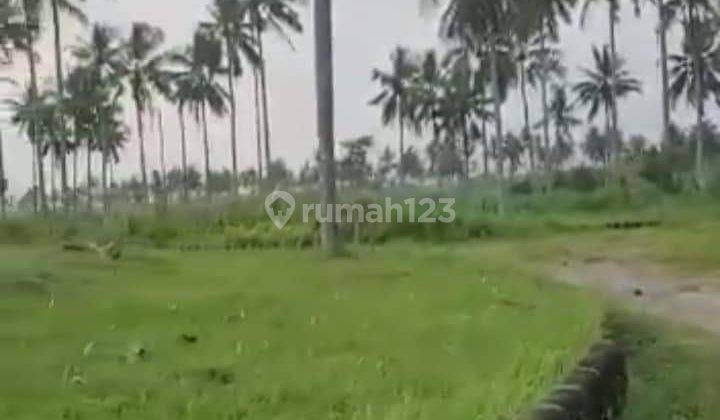 JUAL TANAH PANGANDARAN 5