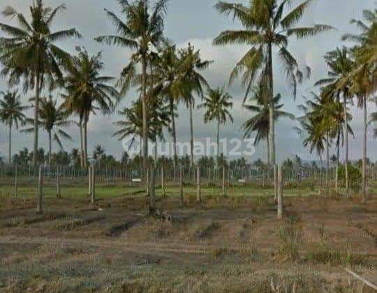 JUAL TANAH PANGANDARAN 6