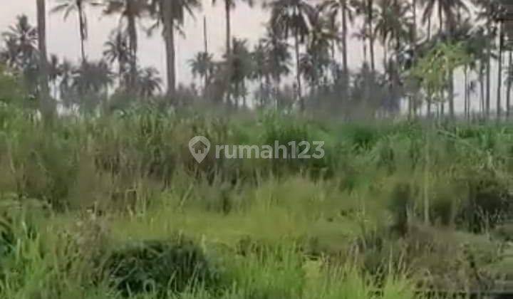 JUAL TANAH PANGANDARAN 8