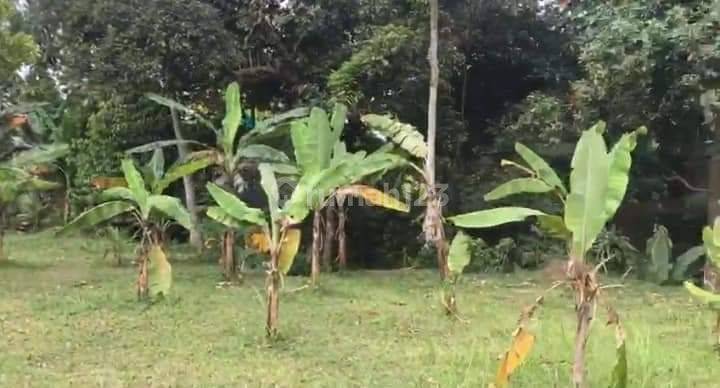 JUAL CEPAT TANAH CIAWI 6