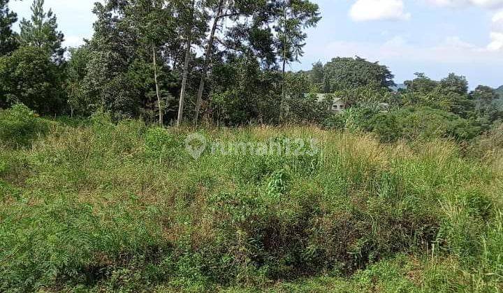 JUAL CEPAT TANAH DI BAWAH NJOP SENTUL 1