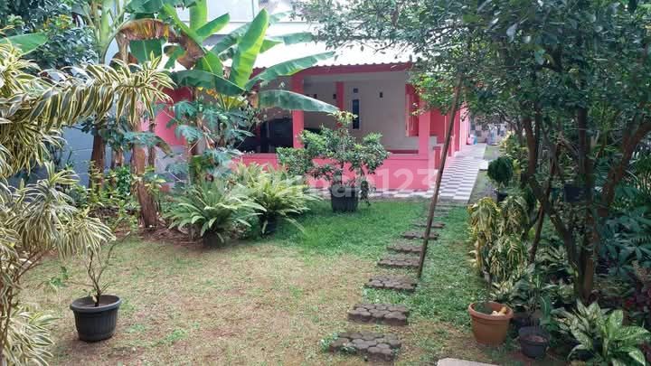 For Sale: House Plus Boarding House Near UI 2