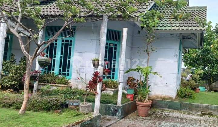 Sold Below NJOP Villa Palasari