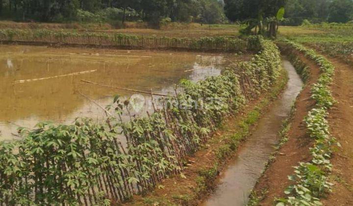 Tanah kebun didesa cibodas rumpin bogor 1