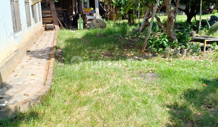 Tanah Bonus Bangunan Gudang di Seririt 7