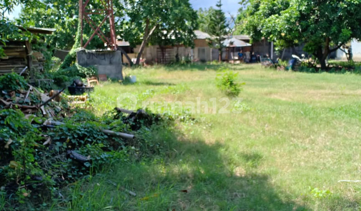 Tanah Bonus Bangunan Gudang di Seririt 8