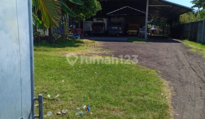 Tanah Bonus Bangunan Gudang di Seririt 10