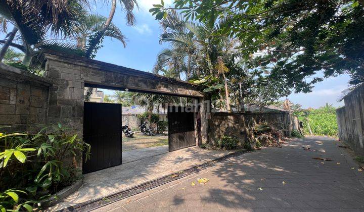 Tropical Villa with Ricefield View Berawa Canggu 2