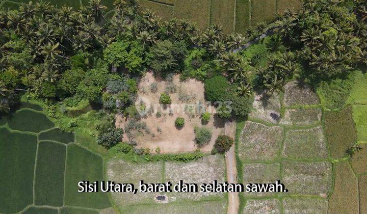 Land View Sawah Abadi Lodtunduh Ubud 1