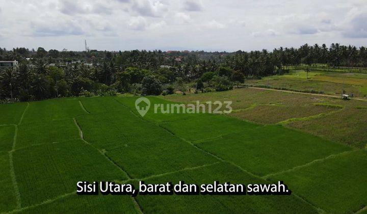 Land View Sawah Abadi Lodtunduh Ubud 2