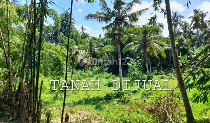 Tanah Sayan Ubud 1