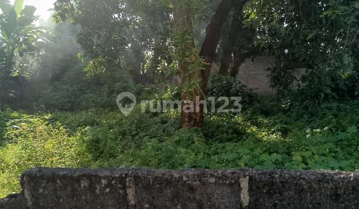 Central Land of Buleleng City