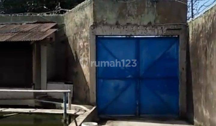 J005 Rumah Burung Walet 5kg Per Bulan 2