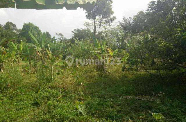 Tanah Luas Hadap Selatan Desa Kemanisan Curug 1