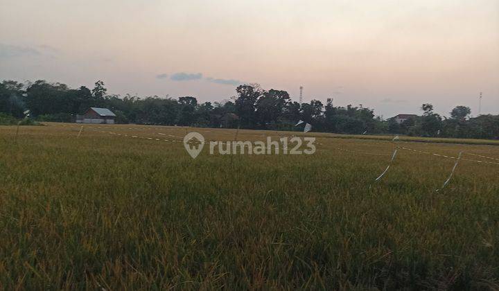 Dijual Sawah Bisa Buat Hunian Rumah  2