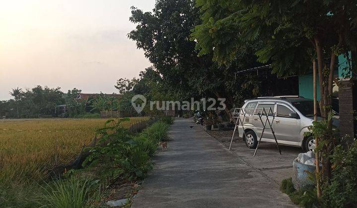 Dijual Sawah Bisa Buat Hunian Rumah  1