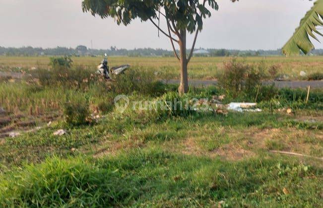 Dijual Lahan Sawah Di Bugangin Kendal  2