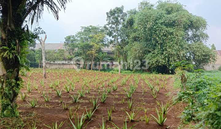 Tanah di Telaga Kahuripan, Bogor Cocok untuk Bangun Beberapa Rumah
