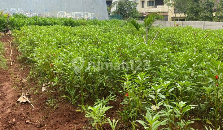 Kavling Interkon Kebon Jeruk 600M² - bisa Beli Sebagian Kavling Interkon Kebon Jeruk 600M² - bisa Beli Sebagian