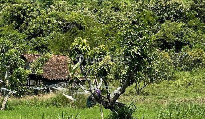 Dijual Tanah di Desa Gosari Ujung Pangkah Gresik Jawa Timur 2