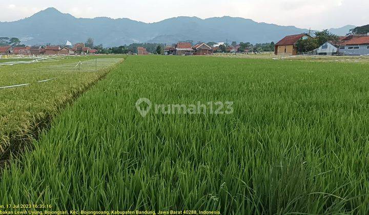 Dijual Tanah di Desa Bojongsari, Bojongsoang, Bandung, Jawa Barat 2