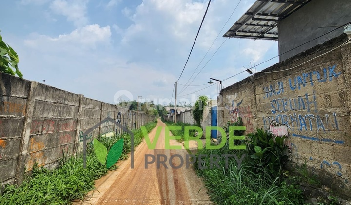 Rental of an Active and Productive Chicken Farm in Kebon Kelapa, Rumpin