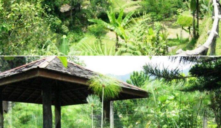 Di Jual Villa Di Cisarua Puncak 2