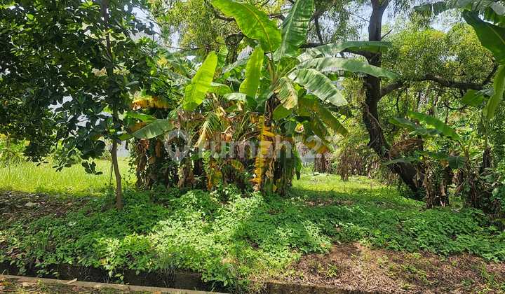 Di Jual.cepat Kav Pik Jarang Ada.lokasi Bagus Jakarta.utara Di Jual.cepat Kav Pik Jarang Ada.lokasi Bagus Jakarta.utara