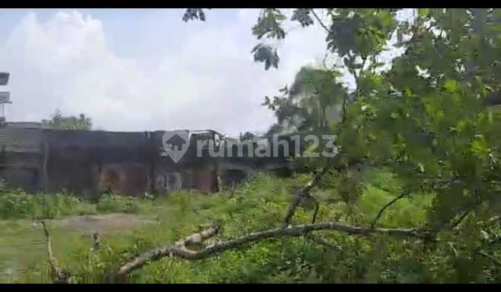 Di Jual Tanah Dan Gudang Di Kapuk Jakarta Utara Termurah Jarang Ada Di Jual Tanah Dan Gudang Di Kapuk Jakarta Utara Termurah Jarang Ada