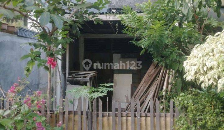 Di Jual Cepat Dibawah Njop Rumah Tua Di Petojo Barat Jakarta Pusat 1