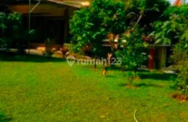Rumah Mewah Luas Asri Di Komplek Dekat Pintu Tol Andara Jagakarsa 1