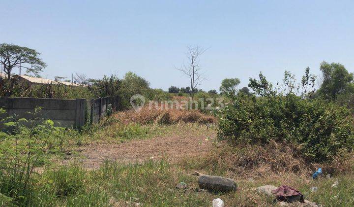 Tanah Industri Siap Bangun Di Pinggir Jalan Raya Kaliwungu Kendal 1