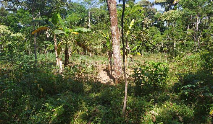 Tanah Luas Zona Hijau Di Blotongan Salatiga 1
