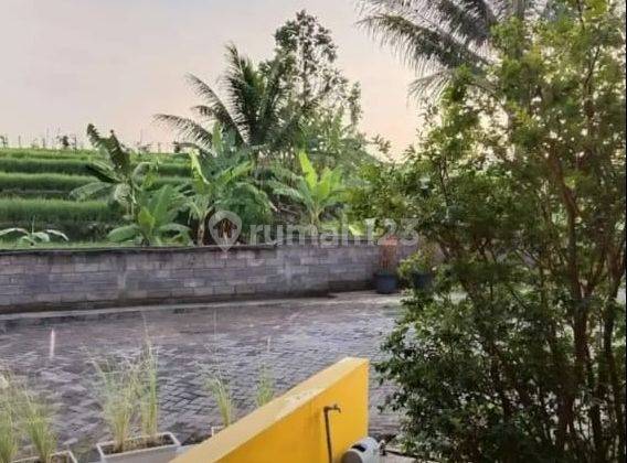 Rumah Hook Semi Furnished View Sawah Dan Sungai di Pabelan Kabupaten Semarang 2