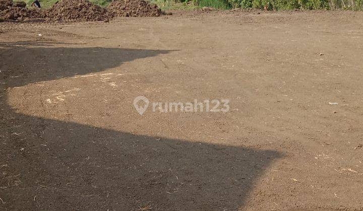 Tanah Lokasi Strategis Cocok Untuk Gudang di Karangtengah Demak 1