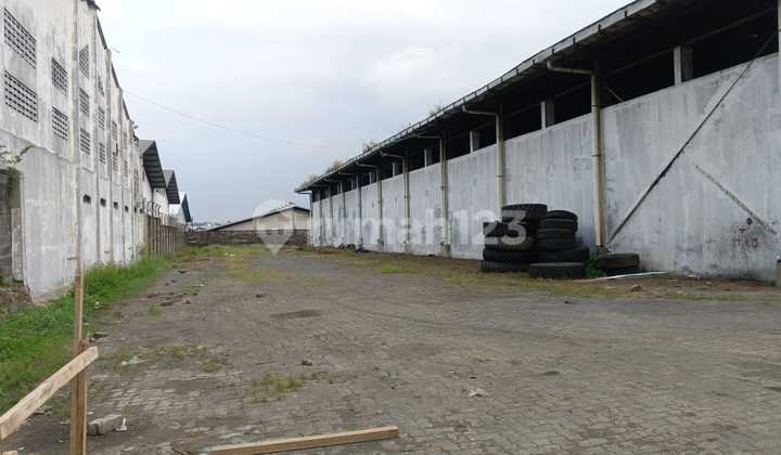 Gudang Loading Dock Berukuran Besar Bebas Banjir di Kic Gatsu Semarang 2