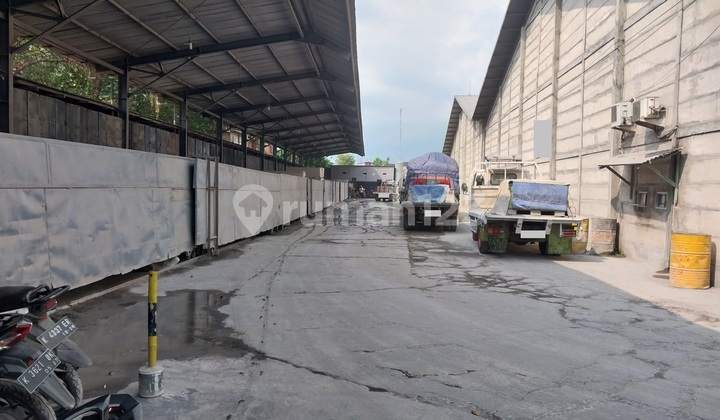 Ready-to-Use Flood-Free Warehouse in Pati, Central Java Ready-to-Use Flood-Free Warehouse in Pati, Central Java