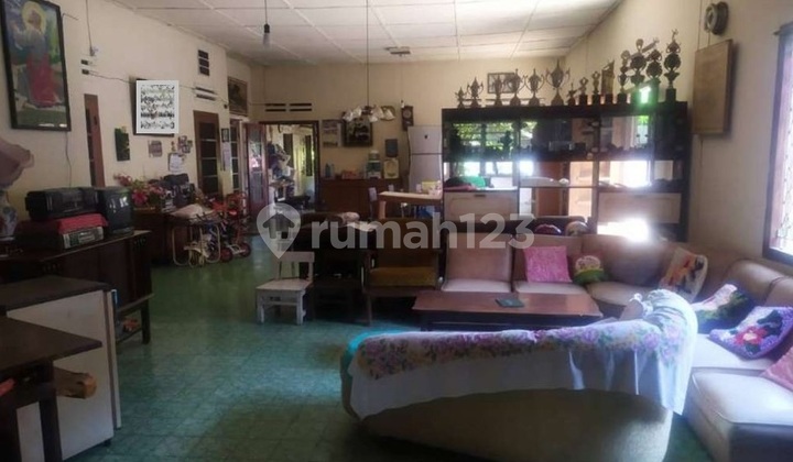 Rumah Super Luas Lokasi Strategis Di Pinggir Jalan Raya Purwodadi Rumah Super Luas Lokasi Strategis Di Pinggir Jalan Raya Purwodadi