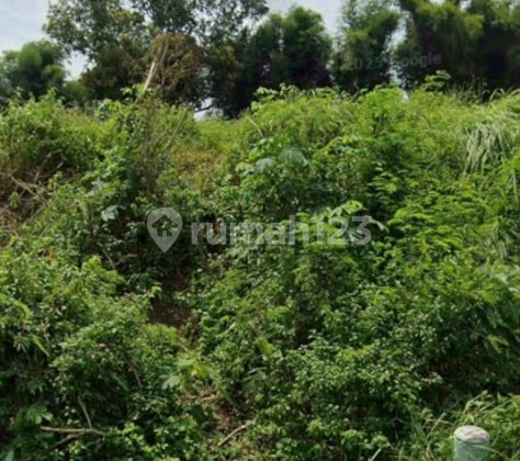 Tanah Siap Bangun Bebas Banjir Di Jangli Semarang 1