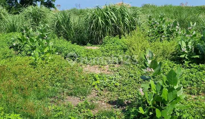 Super Wide Industrial Land Ready to Build in the Cipta Guna Area of Semarang 1