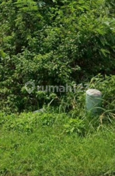 Tanah Siap Bangun Bebas Banjir Di Jangli Semarang 2