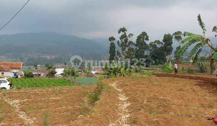 Tanah Padat Siap Bangun View Bagus Untuk Villa di Wisata Ciwidey Kabupaten Bandung