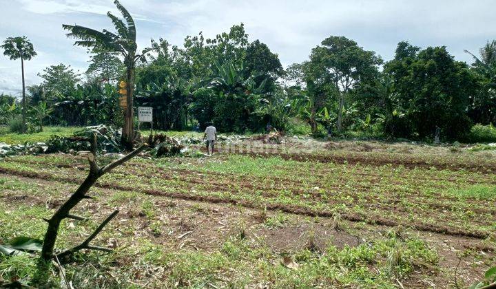 Tanah Murah Cisauk 850 Ribu meter, Cocok Bangun Hunian 2